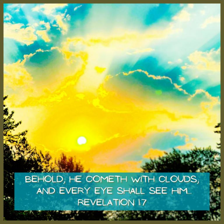 Behold, he cometh with clouds; and every eye shall see him,_20240903_102431_0000