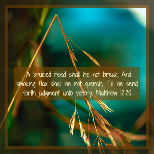 A broken read The Lord does not despise_20241202_000911_0000